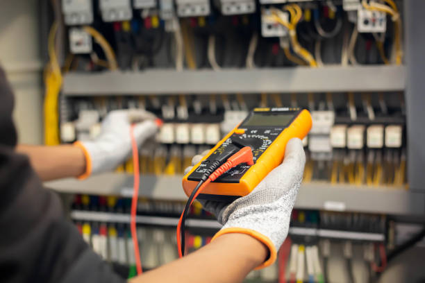 Best Electrical Panel Upgrades  in Payson, IL